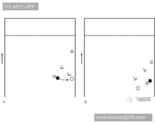 南京飞盘队区域防守战术解析与实战应用探讨