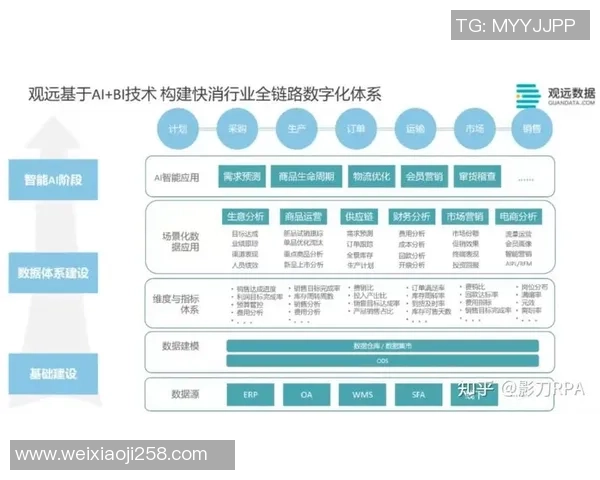 广州排球队整体压制体系的战术解析与实战应用探讨