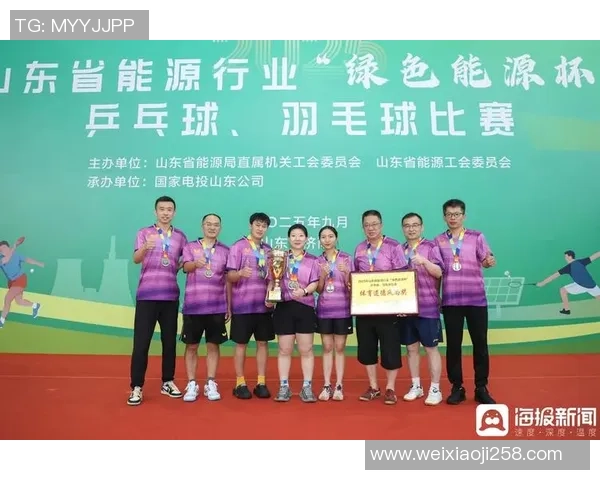 深圳羽毛球队的管理模式与发展策略深度解析